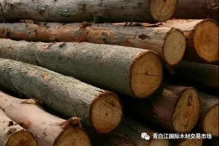 【木材資訊】1-2月國內木材進口降幅超兩成！