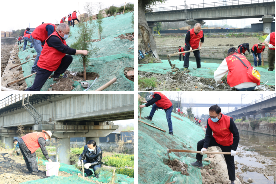 【中心動態(tài)】履行植樹義務 共建美麗園區(qū)  